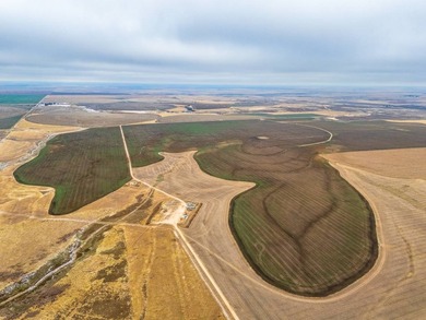 Introducing the Kiowa Creek Panhandle Ranch, a 2,890.57 +/- acre - photo 3