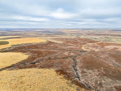 Introducing the Kiowa Creek Panhandle Ranch, a 2,890.57 +/- acre - photo 4