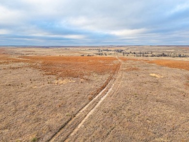 Introducing the Kiowa Creek Panhandle Ranch, a 2,890.57 +/- acre - photo 5