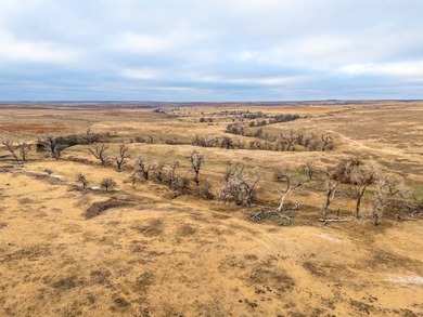 Introducing the Kiowa Creek Panhandle Ranch, a 2,890.57 +/- acre - photo 6
