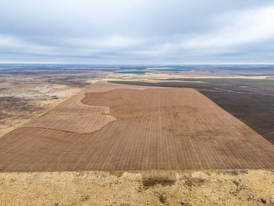 Introducing the Kiowa Creek Panhandle Ranch, a 2,890.57 +/- acre - photo 7