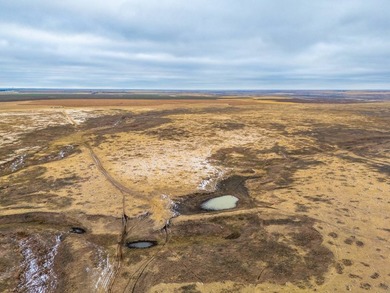 Introducing the Kiowa Creek Panhandle Ranch, a 2,890.57 +/- acre - photo 8