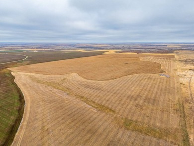 Introducing the Kiowa Creek Panhandle Ranch, a 2,890.57 +/- acre - photo 9