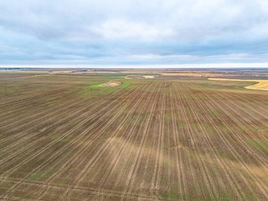 Introducing the Kiowa Creek Panhandle Ranch, a 2,890.57 +/- acre - photo 10