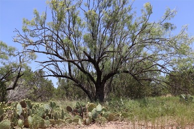 Lake O.H. Ivie Acreage For Sale in Millersview Texas