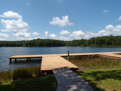 A 5-minute walk (2,00 ft. roughly away) to the covered pavilion - photo 45