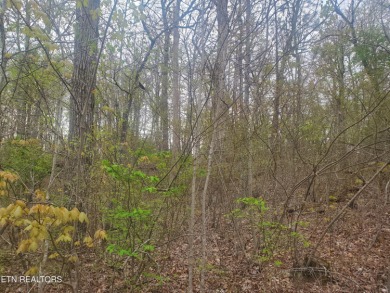 Lake Lot For Sale in Crossville, Tennessee