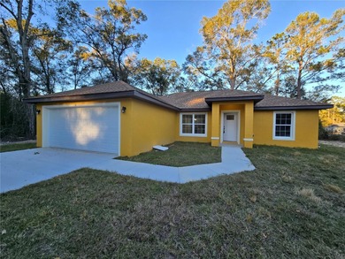 Bowers Lake Home For Sale in Ocala Florida