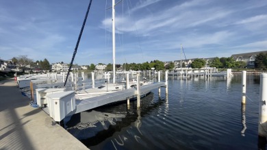 Harbor Village Boat Slip!  - Lake Lot For Sale in Manistee, Michigan