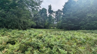 (private lake, pond, creek) Lot For Sale in Custer Michigan