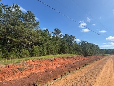 4.09 Acre parcel just minutes from Lake Eufaula. Deeded access - photo 3
