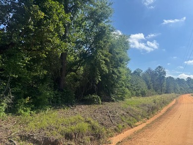4.09 Acre parcel just minutes from Lake Eufaula. Deeded access - photo 5