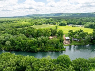 NEW CONSTRUCTION on the Little Red River! This fantastic cabin - photo 6