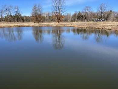 (private lake, pond, creek) Acreage For Sale in Hesperia Michigan