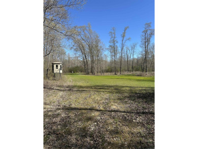 Lake Acreage For Sale in Mcrae, Arkansas