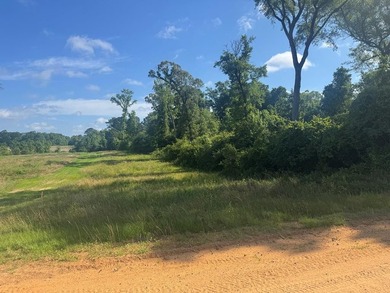 9.74 Acre parcel just minutes from Lake Eufaula. Deeded access - photo 1