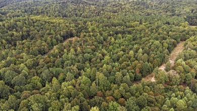 45 ACRES OF PRIME HUNTING LAND NEAR LAKE BARKLEY! Discover the - photo 6