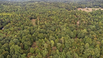 45 ACRES OF PRIME HUNTING LAND NEAR LAKE BARKLEY! Discover the - photo 7