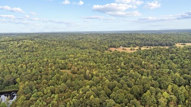 45 ACRES OF PRIME HUNTING LAND NEAR LAKE BARKLEY! Discover the - photo 9