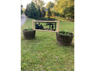 Rare opportunity to own 5 lots (JUST UNDER 3 ACRES) with a - photo 4