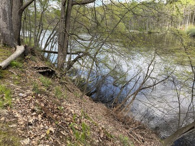 1 acre St. Joseph river private waterfront lot of 146 ft - photo 3