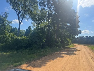 2.74 Acre parcel just minutes from Lake Eufaula. Deeded access - photo 3