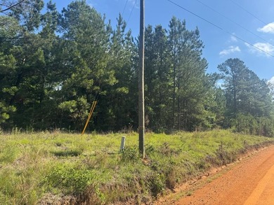 3.12 Acre parcel just minutes from Lake Eufaula. Deeded access - photo 4