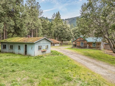 A rare, accessible Southern Oregon commercial/residential - photo 4