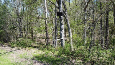 YOUTUBE Escape to your private hunting paradise, located in - photo 35