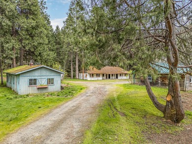 A rare, accessible Southern Oregon commercial/residential - photo 5