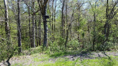 YOUTUBE Escape to your private hunting paradise, located in - photo 36