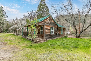 A rare, accessible Southern Oregon commercial/residential - photo 7