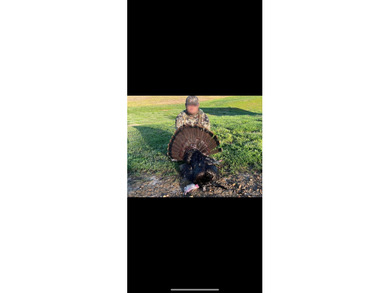 YOUTUBE Escape to your private hunting paradise, located in - photo 39