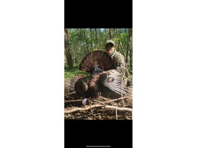 YOUTUBE Escape to your private hunting paradise, located in - photo 41