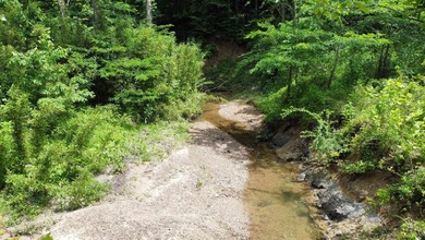 YOUTUBE Escape to your private hunting paradise, located in - photo 44