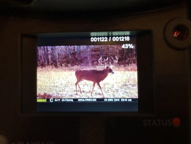 YOUTUBE Escape to your private hunting paradise, located in - photo 45