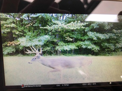 YOUTUBE Escape to your private hunting paradise, located in - photo 46