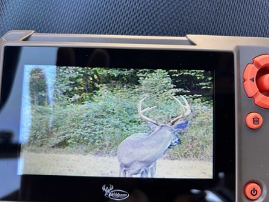 YOUTUBE Escape to your private hunting paradise, located in - photo 47