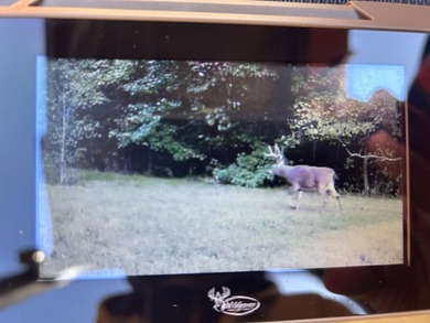 YOUTUBE Escape to your private hunting paradise, located in - photo 48