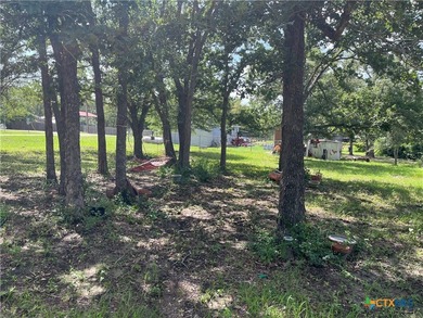 Welcome to 108 Live Oak Path in Somerville, TX! This charming - photo 9