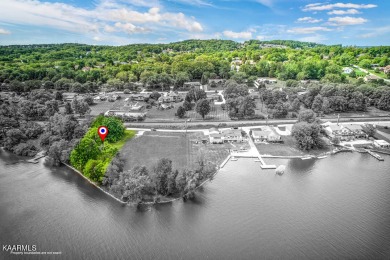Fort Loudoun Lake Homes for Sale Real Estate Lakefront Property TN,3