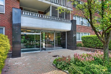 Welcome home to this light-filled, beautifully renovated - photo 4