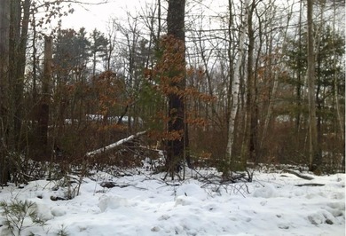 (private lake, pond, creek) Lot For Sale in Derry New Hampshire