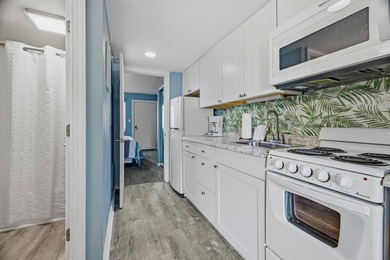 JUST LISTED! You just discovered one of the coziest Ocean View - photo 6