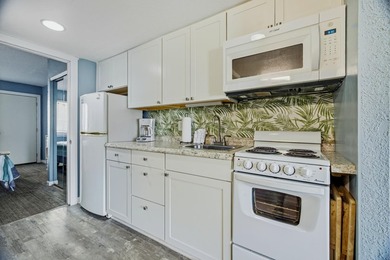 JUST LISTED! You just discovered one of the coziest Ocean View - photo 7