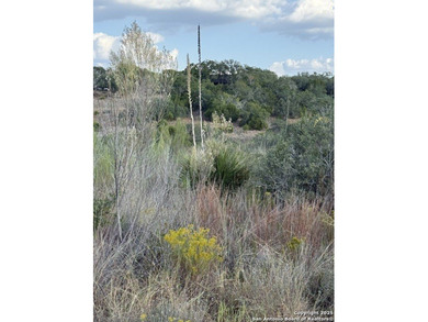 Lake Lot For Sale in Spring Branch, Texas