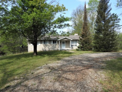 Ausable River Home For Sale in Roscommon Michigan