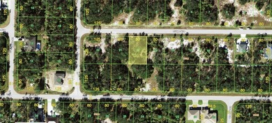 Port Charlotte Waterway Area Lot For Sale in Port Charlotte Florida