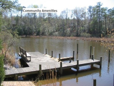 Seller Financing Available! Wooded property on Deep Lake in - photo 3