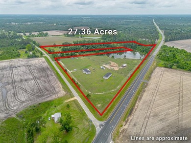 (private lake, pond, coastal) Home For Sale in Nicholls Georgia